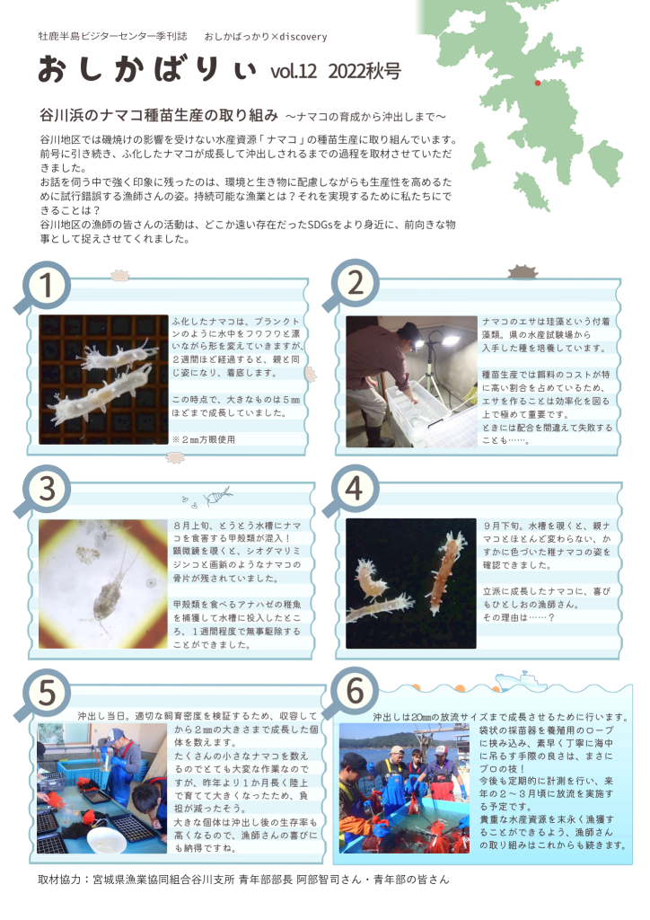 ◇ビジターセンター季刊誌 2022年秋号のご紹介 - 牡鹿半島
